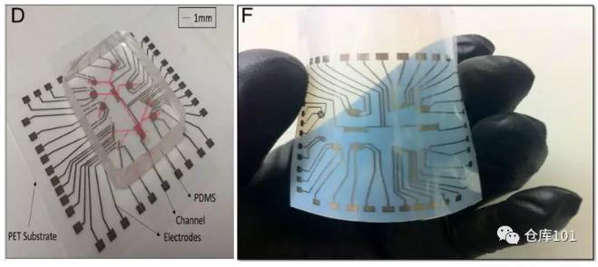 图2. D)检测平台实物图 F) PET柔性电路板实物图