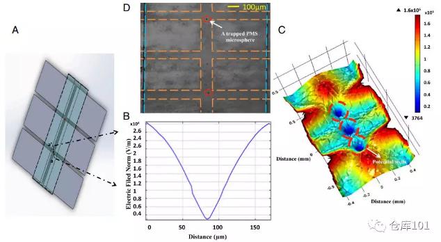 图3. 多元复杂体系中单个生物粒子限制功能 A)微流控芯片示意图；B)微流控管道内电势分布；C)三维电势图；D)显微照相图