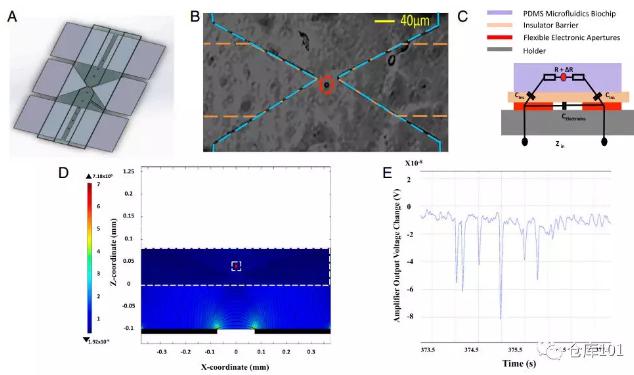 图6. 实时单细胞计数 A)微流控芯片示意图；B)单个细胞通过电极显微照相图；C)等效电路图；D)单个细胞通过的电势计算图；E)6个PMS微球通过的实验测量电势图