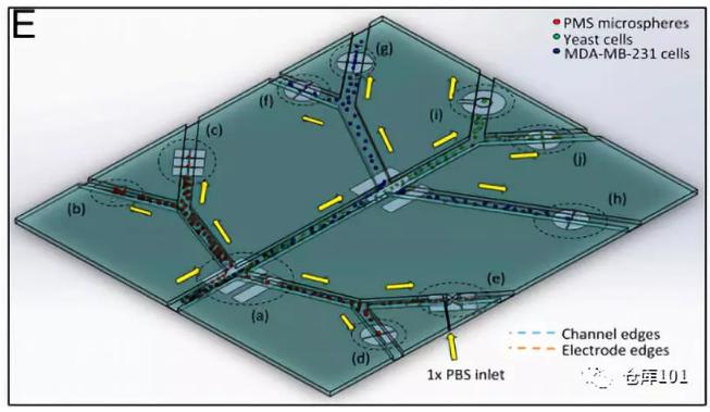 图7. 全功能微流控纳米喷墨电子检测平台示意图