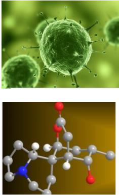 微流控芯片应用领域