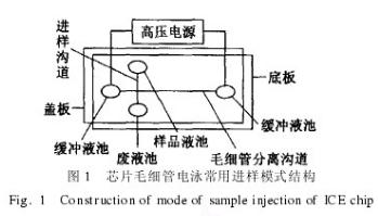 芯片毛细管电泳常用进样模式结构