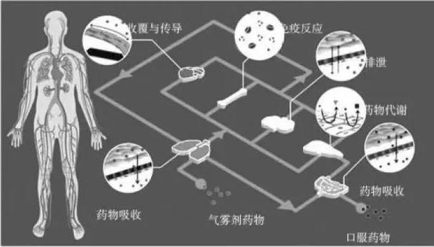 人体芯片示意图