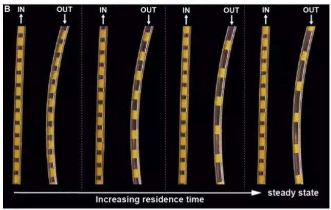 光催化多相连续氟化反应