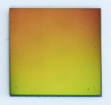 涂有金薄膜的载玻片