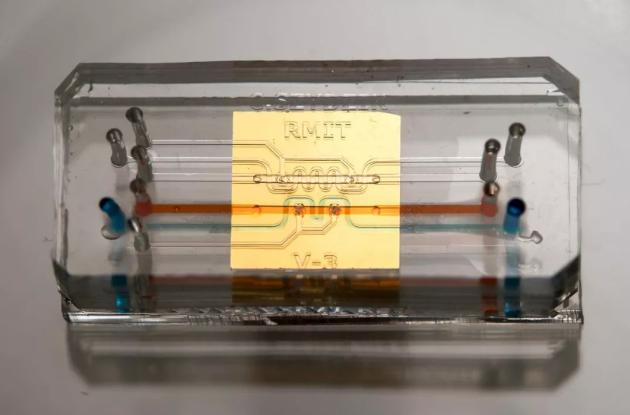 无需任何外部标记微流体装置