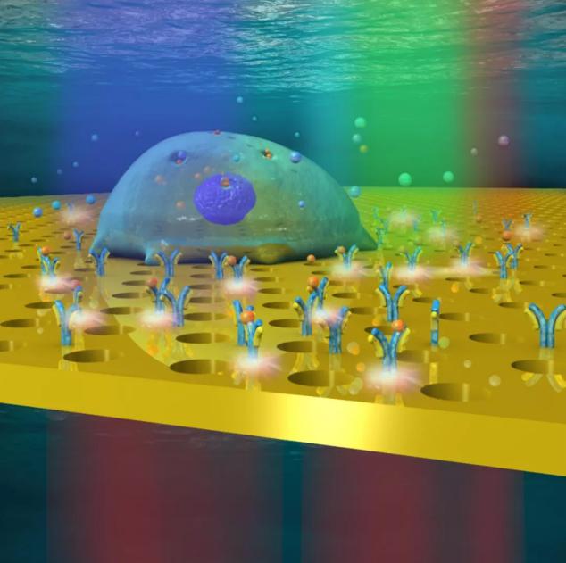 微型腔体放置在载玻片之上