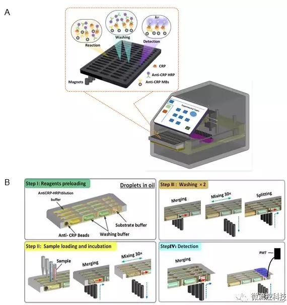 图2 液滴阵列微流控芯片免疫分析系统。A. 分析仪器结构示意图;B. 分析原理示意图。
