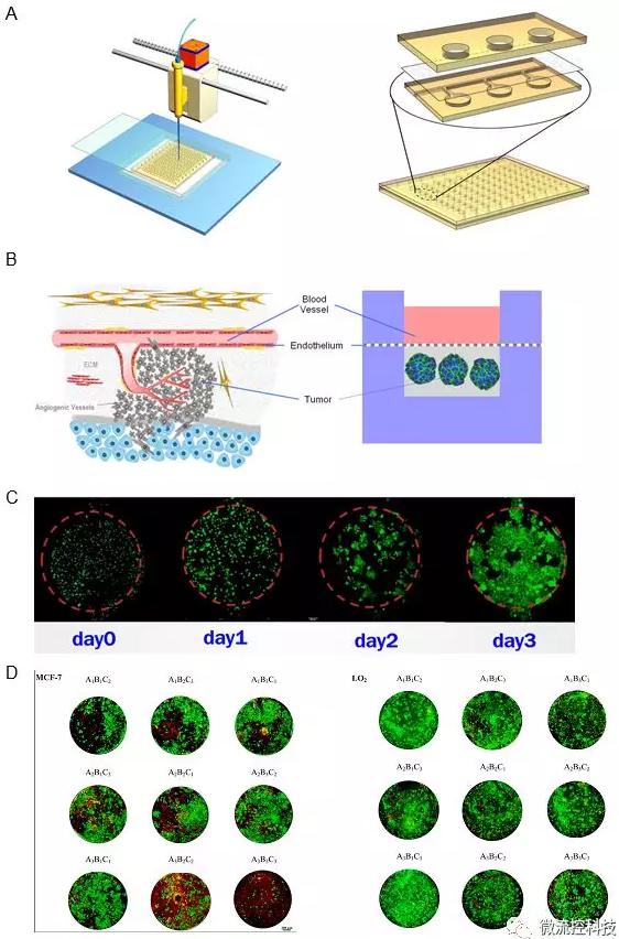 图4A.微流控肿瘤微阵列药物测试系统包含一种复合式结构开放式微流控芯片以及移液工作站