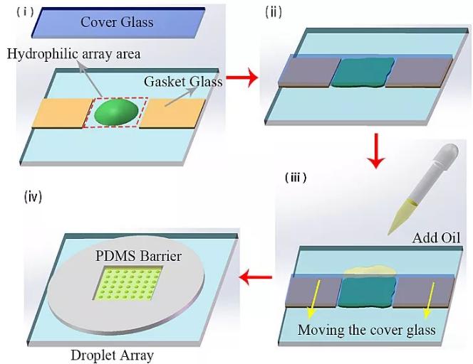 图1. 油盖水型液滴阵列制备步骤的示意图