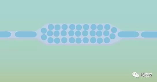 用于高通量筛选疾病生物标志物的液滴微流控技术 用于高通量筛选疾病生物标志物的液滴微流控技术