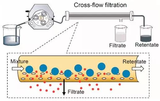 图3 交叉流过滤装置示意图 图3 交叉流过滤装置示意图