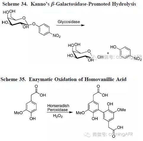 微通道反应器中的酶催化反应
