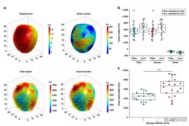 微流控技术开发微型弹性球，可用于癌症诊断