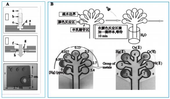 图1重金属检测微流控芯片系统