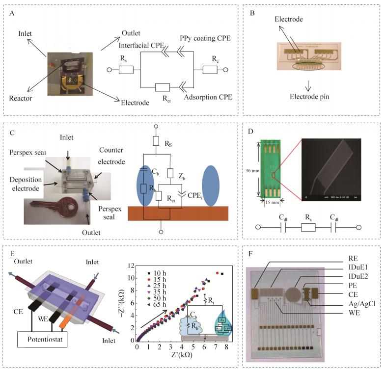 图3微流控芯片电化学阻抗检测生物被膜实例
