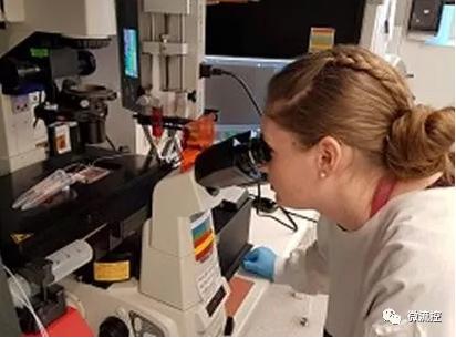 微流控技术在孕妇血样检测领域取得突破