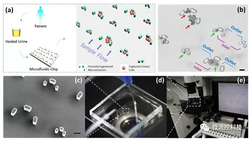 微流控技术在膀胱癌无创检测领域取得重要进展
