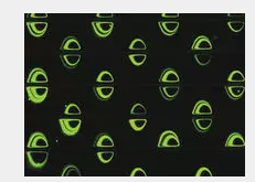 微涡旋上的微珠轨道