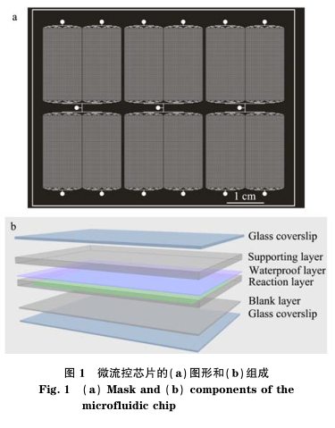 微流控芯片a和b的组合