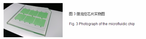 微流控芯片实物图 微流控芯片实物图