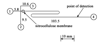 非均相衍生反应电泳芯片结构 非均相衍生反应电泳芯片结构