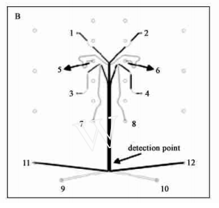多通道电泳芯片 多通道电泳芯片