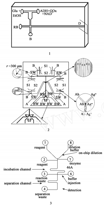集成有 T型和 Y型柱前反应器的电泳芯片