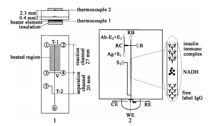 同时集成柱前和柱后反应管道的电泳芯片