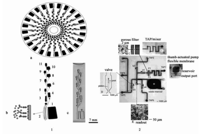 酶联免疫(ELISA) 衍生反应微流控装置[