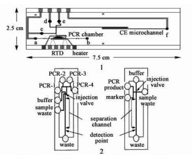 PCR 产物检测电泳芯片