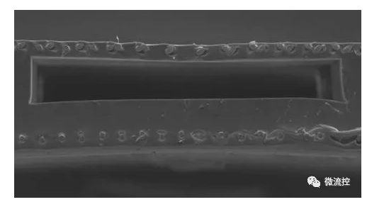 双面单氧和器单元的电子显微镜扫描图像