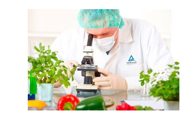 食品检测