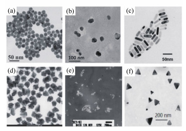 纳米粒子的TEM图