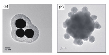 纳米三聚体的TEM图