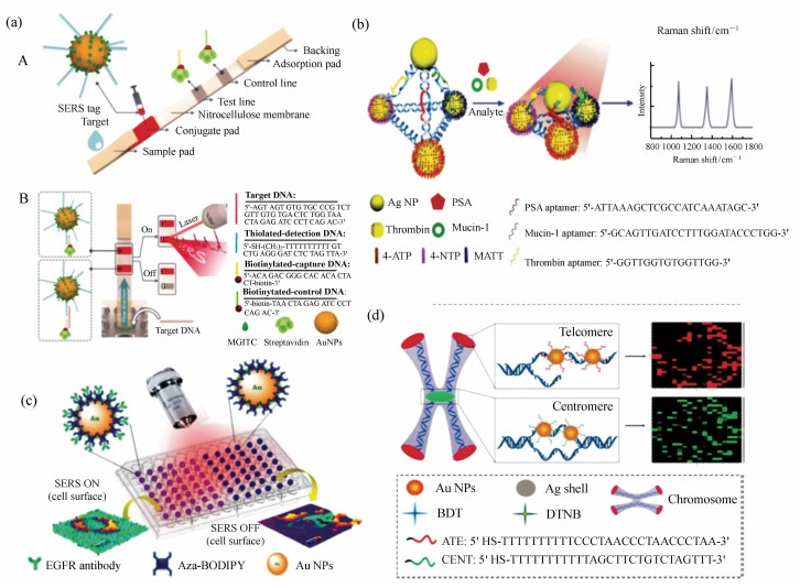 实验结构示意图