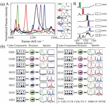硅壳金纳米粒子探针的SERS