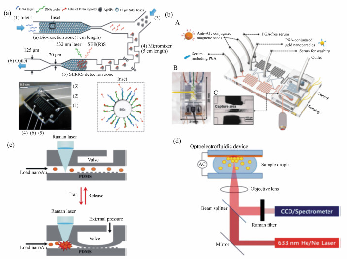 集成DNA竞争取代序列检测的SERRS微流微系统