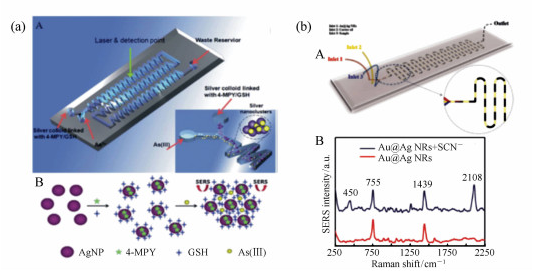 用来检测砷离子的微流芯片示意图