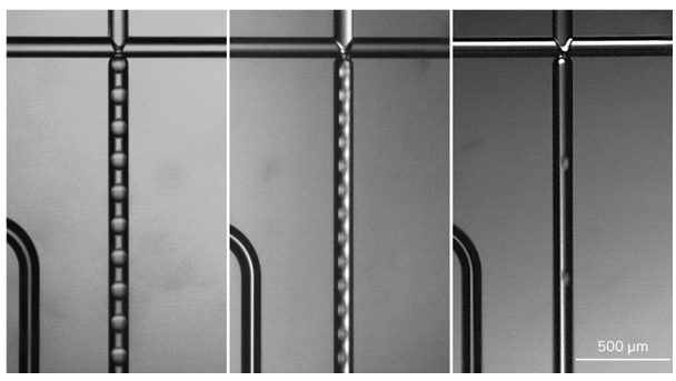  Aqua-Phase中不同大小的PLGA / DCM液滴的图像