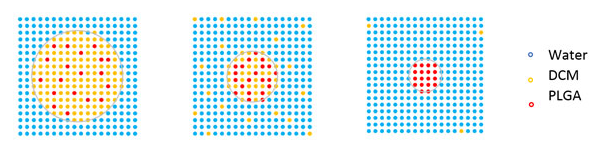 溶剂从液滴蒸发形成PLGA珠粒的过程