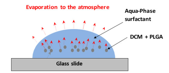 显示DCM从液滴通过连续相进入大气的传输路线的代表性图表