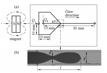  Y 聚焦型微通道结构