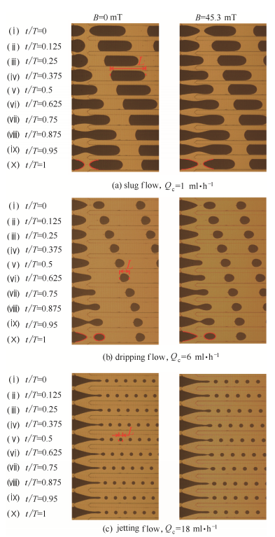  微通道内水基磁流体-矿物油两相流流型及生成过程