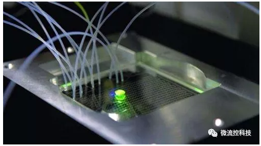 微流控芯片技术