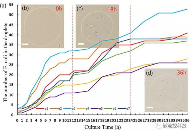 图2. 液滴中大肠杆菌的数目随时间变化的图像