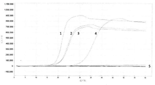 图1HPVl引物扩增曲线