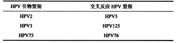 表2皮肤低危型别组内出现交叉反应的HPV型别