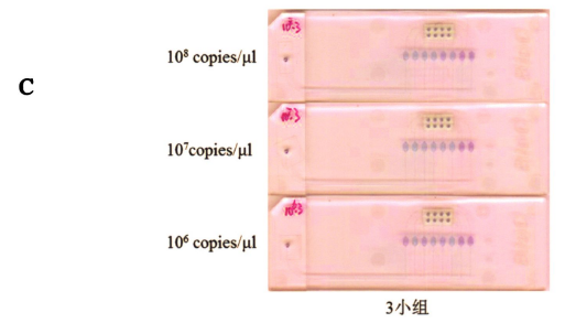 图6皮肤低危型别组3个小组I-IPV型别灵t性检舅