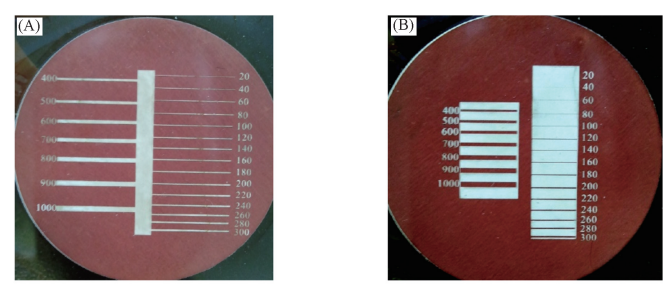 Fig.2Fabricatedmicrochannels(unitinmicrometers)(A)andbarriers(B)withvariedwidths(unitinmicrometers)